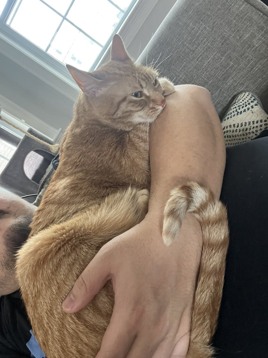 Streamlabs tweet media