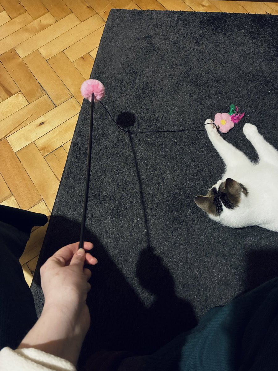 десь на півдні tweet media