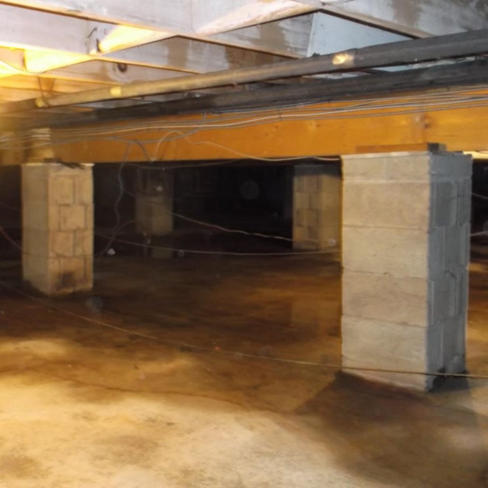 disasterblaster tweet media