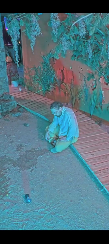 Saru Kinu tweet media