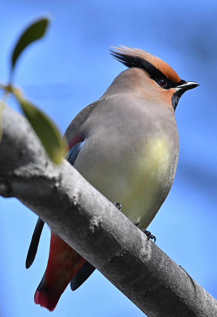 waniwani1968 tweet media