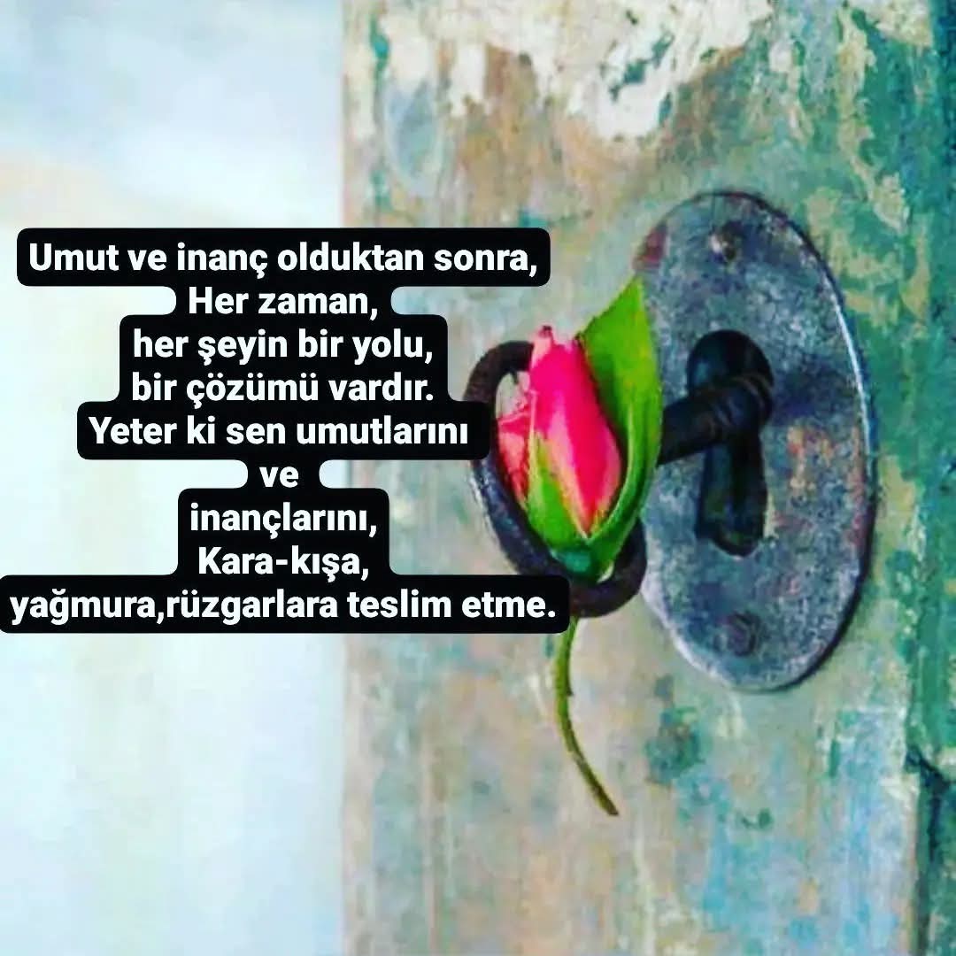 Şahin Kazan (@skazan02) on Twitter photo 