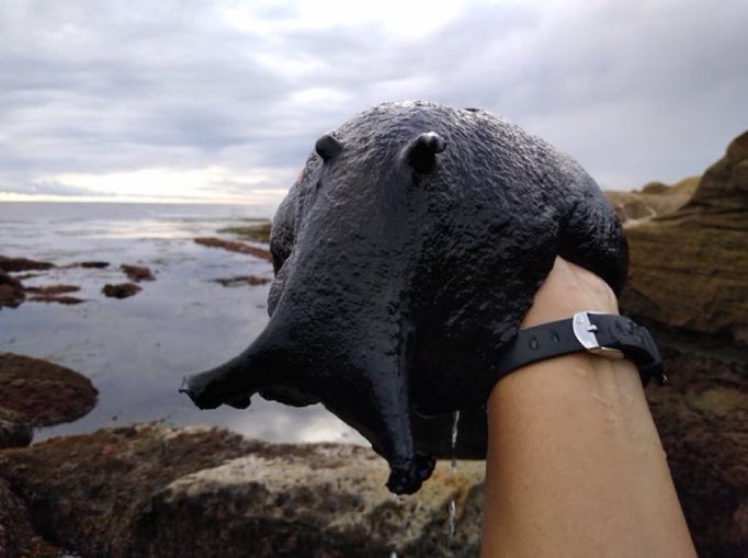 arch3r25 tweet media