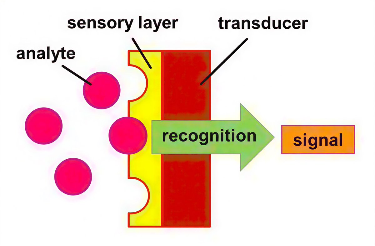 FindLightInc's tweet image. Optical biosensors are transforming medical diagnostics. From detecting cancer biomarkers to enabling rapid COVID-19 testing, these light-based sensors offer high sensitivity, low cost &amp;amp; non-invasive detection.

Read more:
 findlight.net/blog/optical-b…
#Photonics #MedTech #Diagnostics