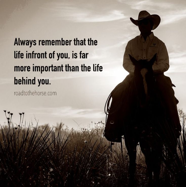 Michael Doyle tweet media