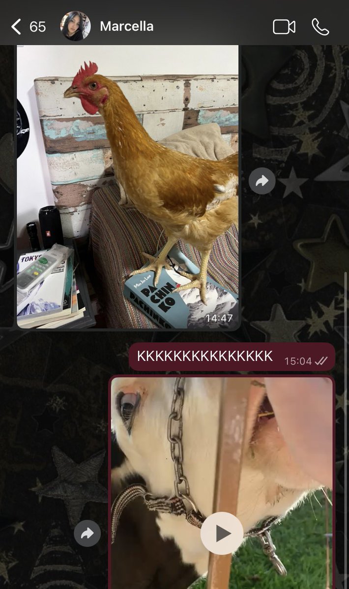 𝔖𝔢𝔫𝔥𝔬𝔯𝔞 𝔉𝔦𝔬𝔫𝔞 𝔈𝔫𝔠𝔞𝔫𝔱𝔞𝔡𝔬 tweet media