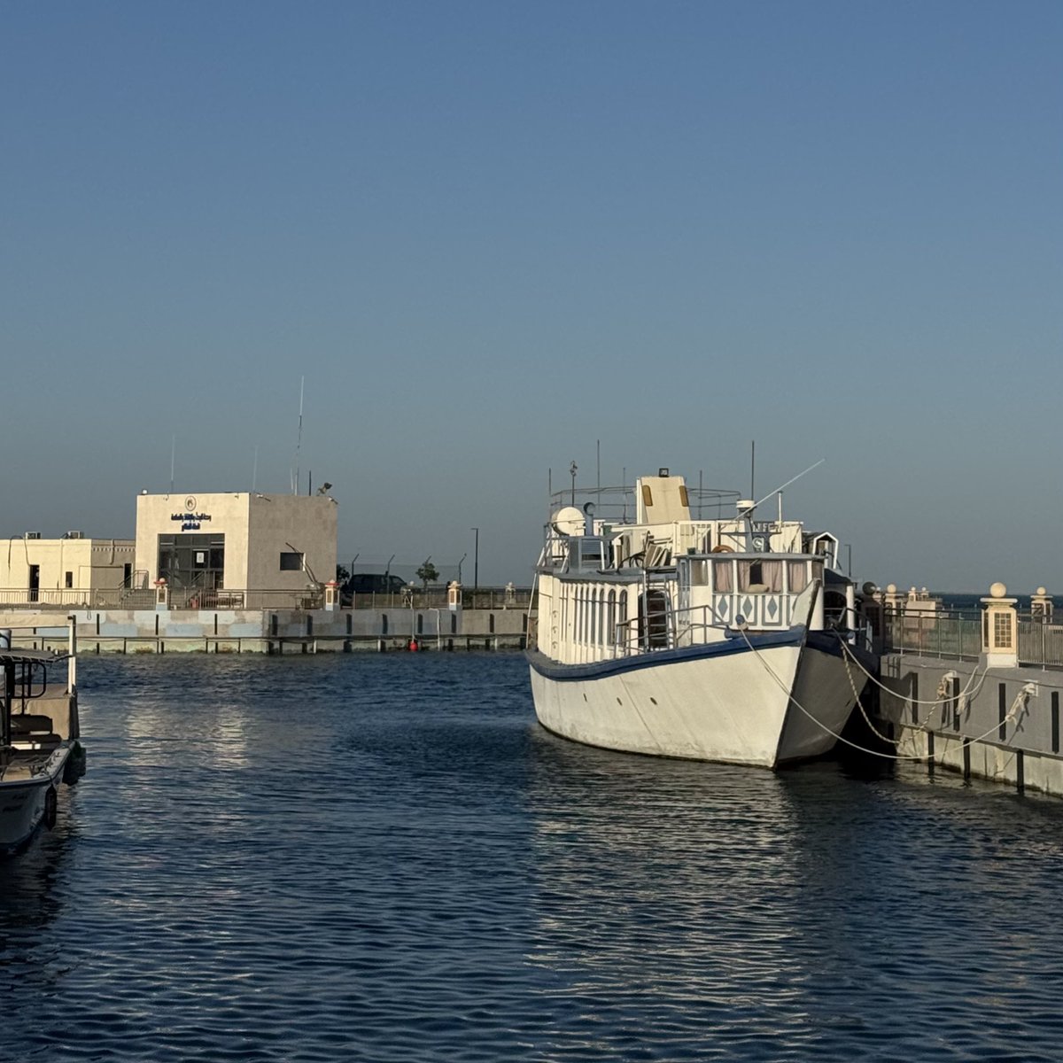 ديـم tweet media