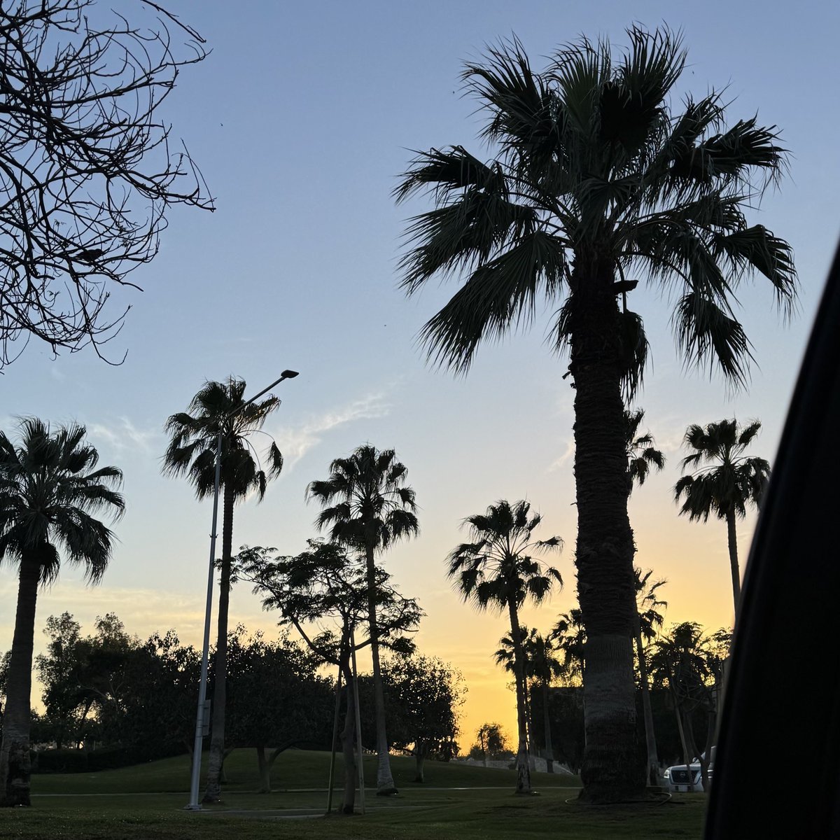 ديـم tweet media