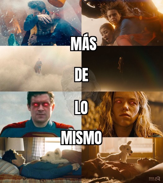 Le Chuck 🐦 tweet media