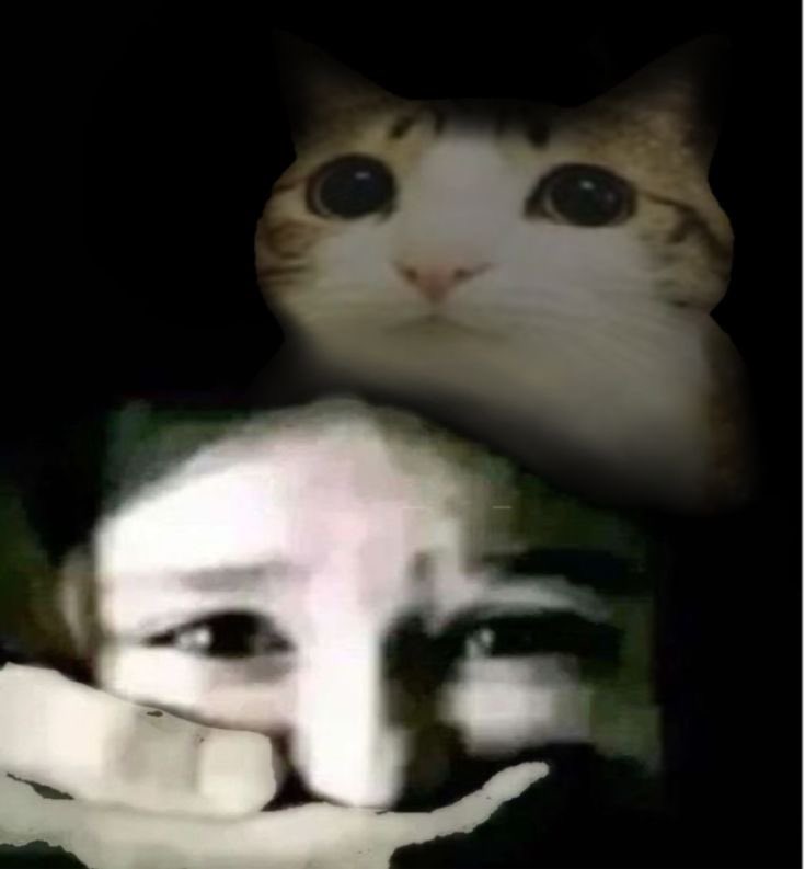 𝙼𝚊𝚛𝚔 𝙲𝚎𝚍𝚛𝚒𝚌 tweet media