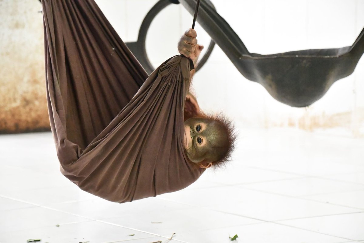 🧸 LAUREN 🧸 tweet media