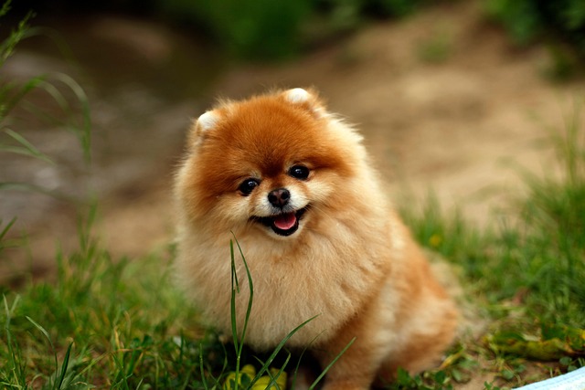 Melanie Doucet tweet media