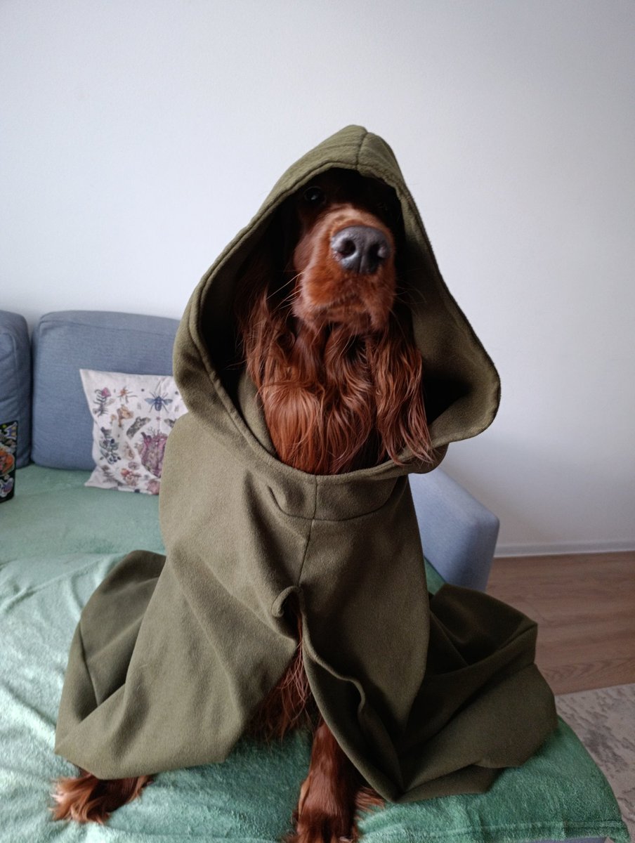 амбассадор неслучайностей tweet media