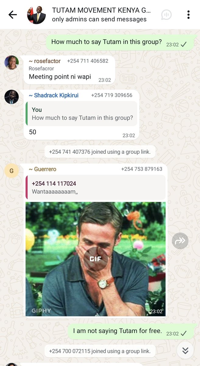 TL Elder 2 tweet media