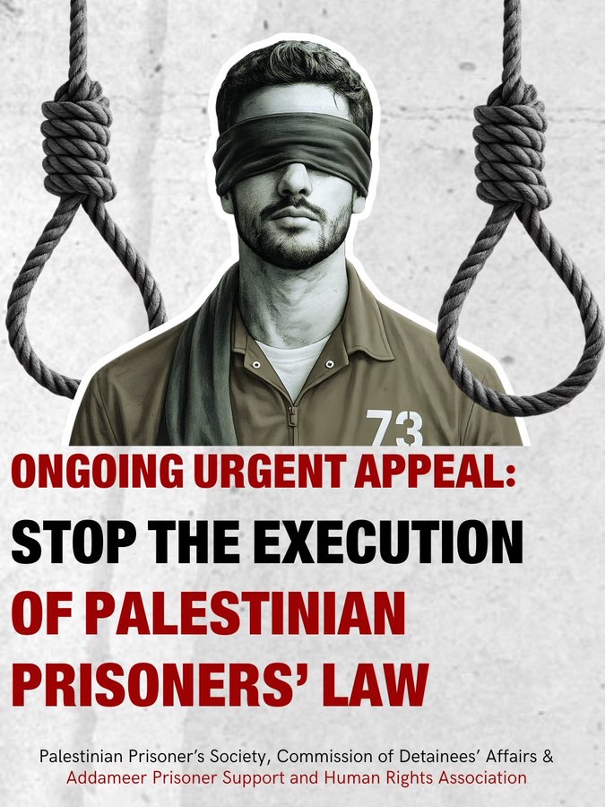 Bella Dama 🌹 tweet media