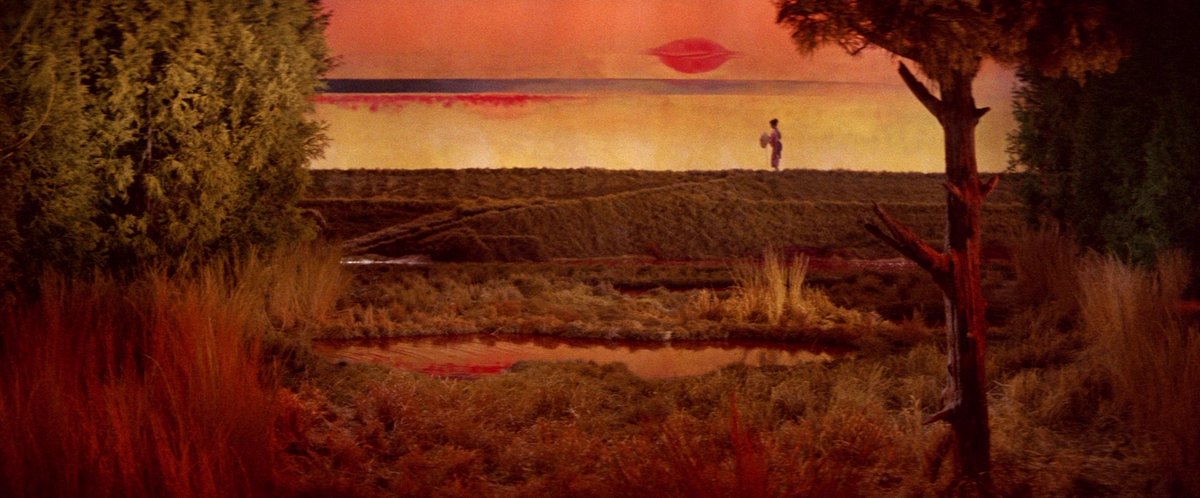 Jacob Calta tweet media