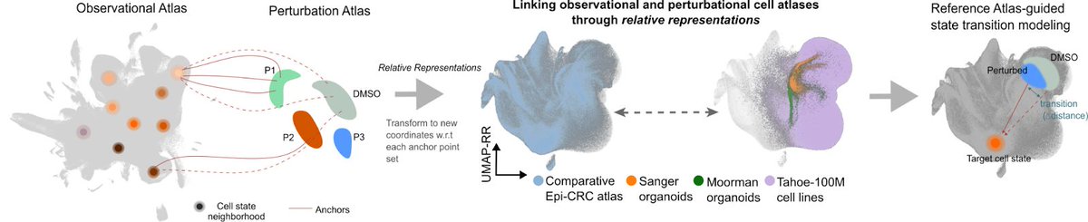 Fabian Theis tweet media
