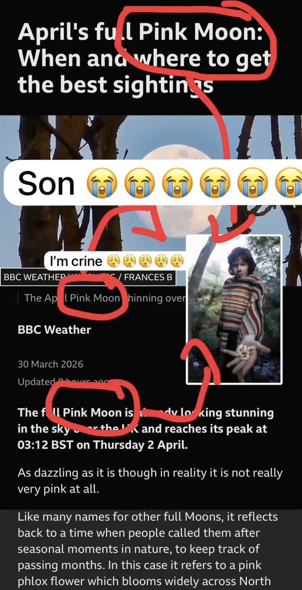 renagflow's tweet image. omg nick dwake refwence 😨 #nickdrake #paygorn #smegcolony