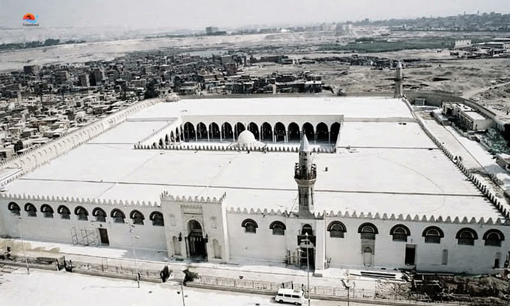 Yasen Faiq tweet media