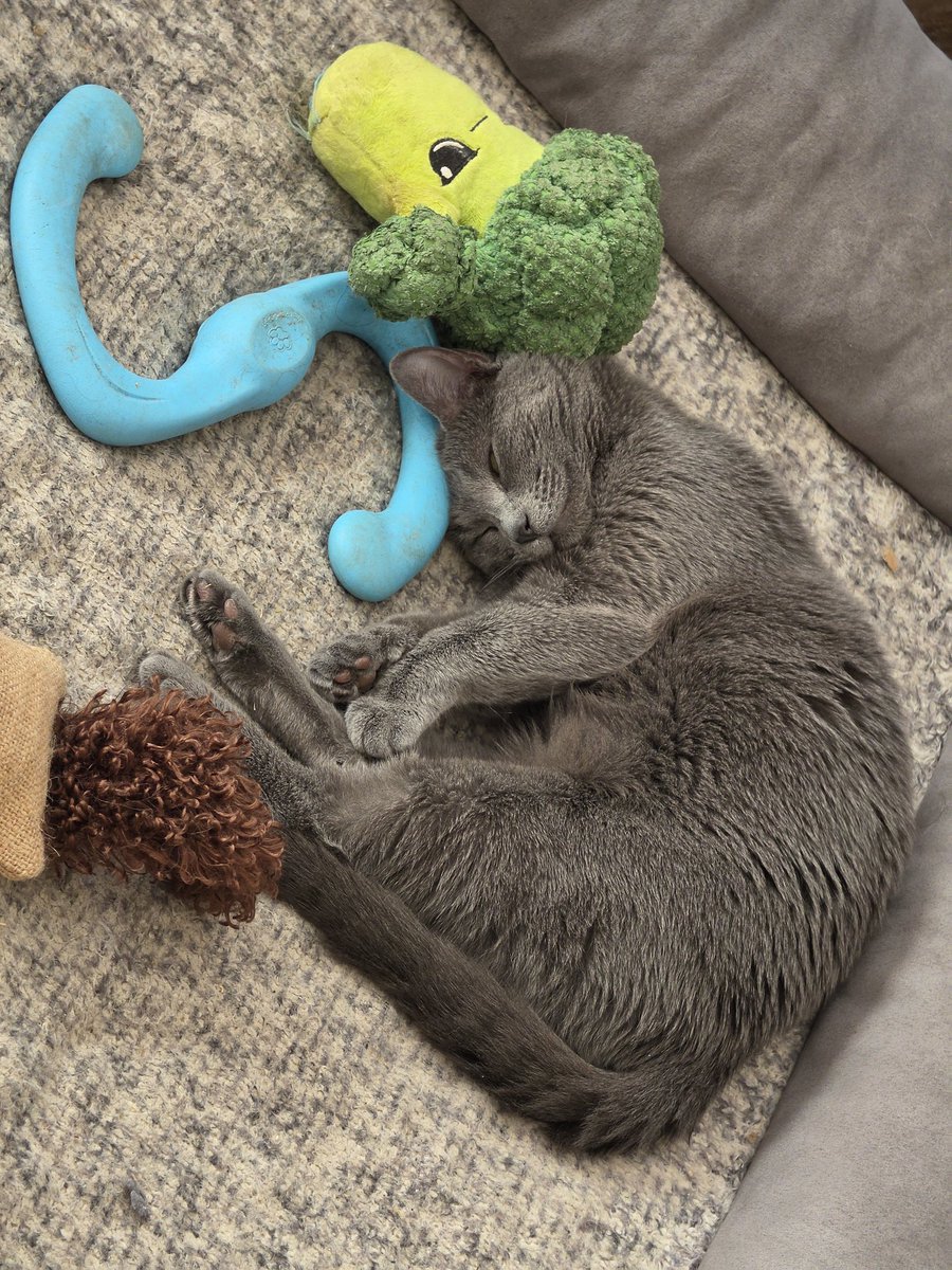 Camizole Corzette ⛓️❤️‍🩹【SVA】 tweet media