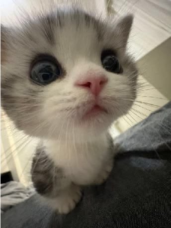 𝐥𝐚𝐝𝐲 𝐤𝐚𝐭𝐭𝐞𝐧⋆⭒˚｡⋆ tweet media