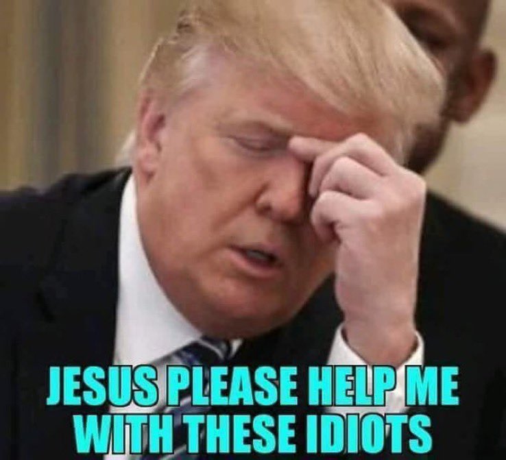 PD from TN tweet media