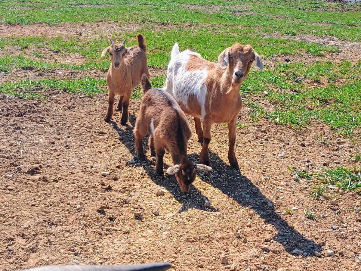 Jennifer Burchfield tweet media