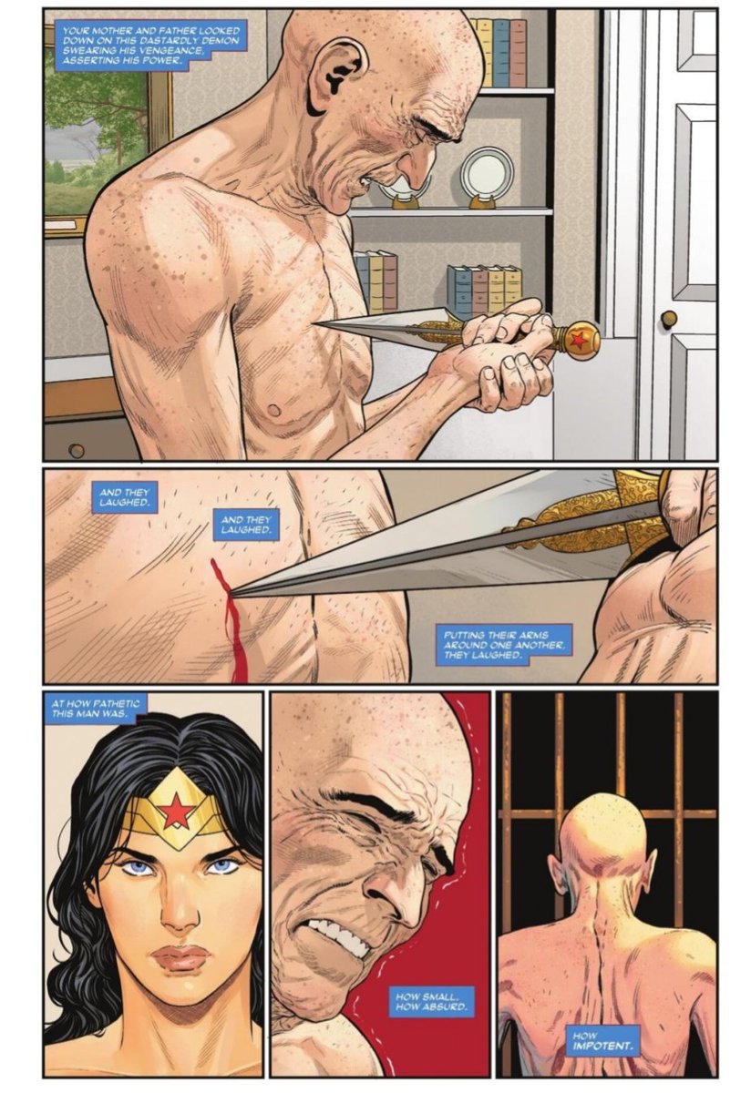 Wonder Woman BR tweet media