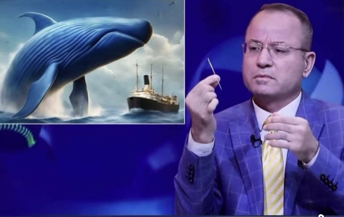 علي نوري tweet media