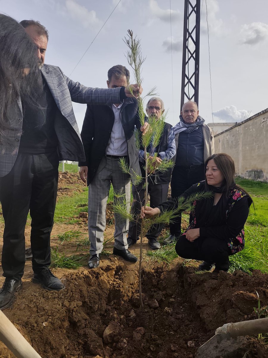 DEM Urfa il örgütü tweet media