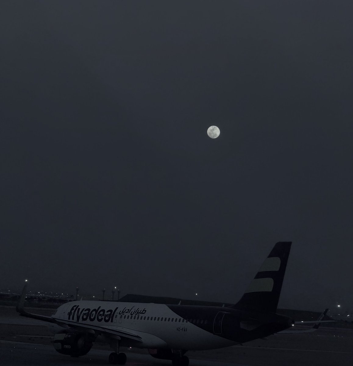 أمل أبومديني tweet media