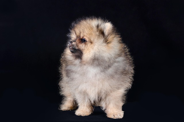 Steve Baete tweet media