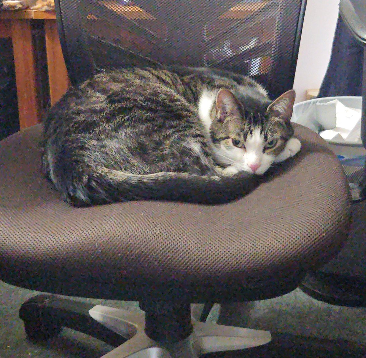 ₳ⱠɆӾ♿ tweet media