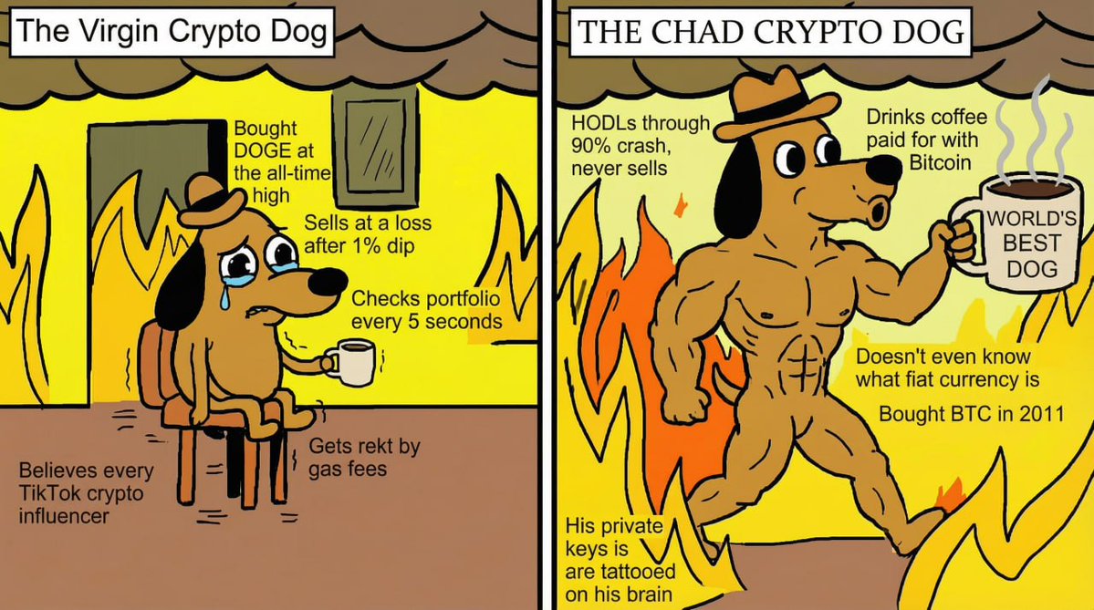 This Is Fine tweet media