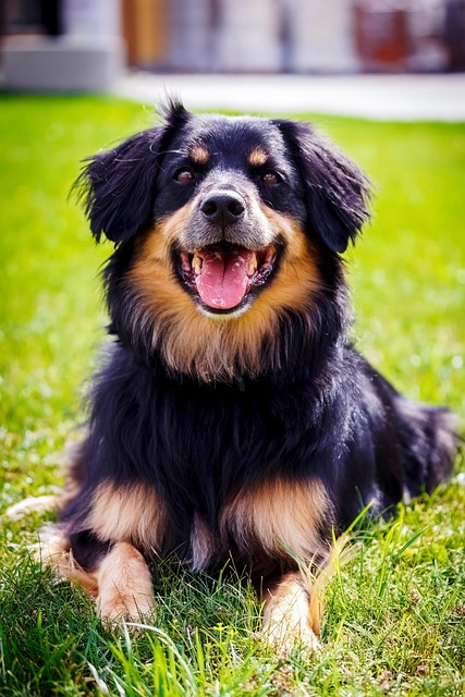 Saby Steed tweet media