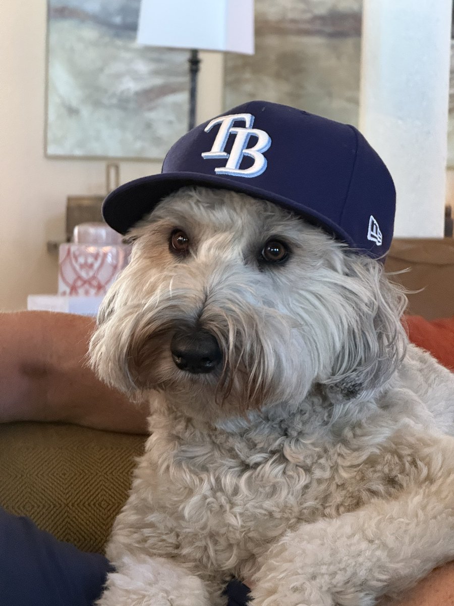 Jon Gruden tweet media