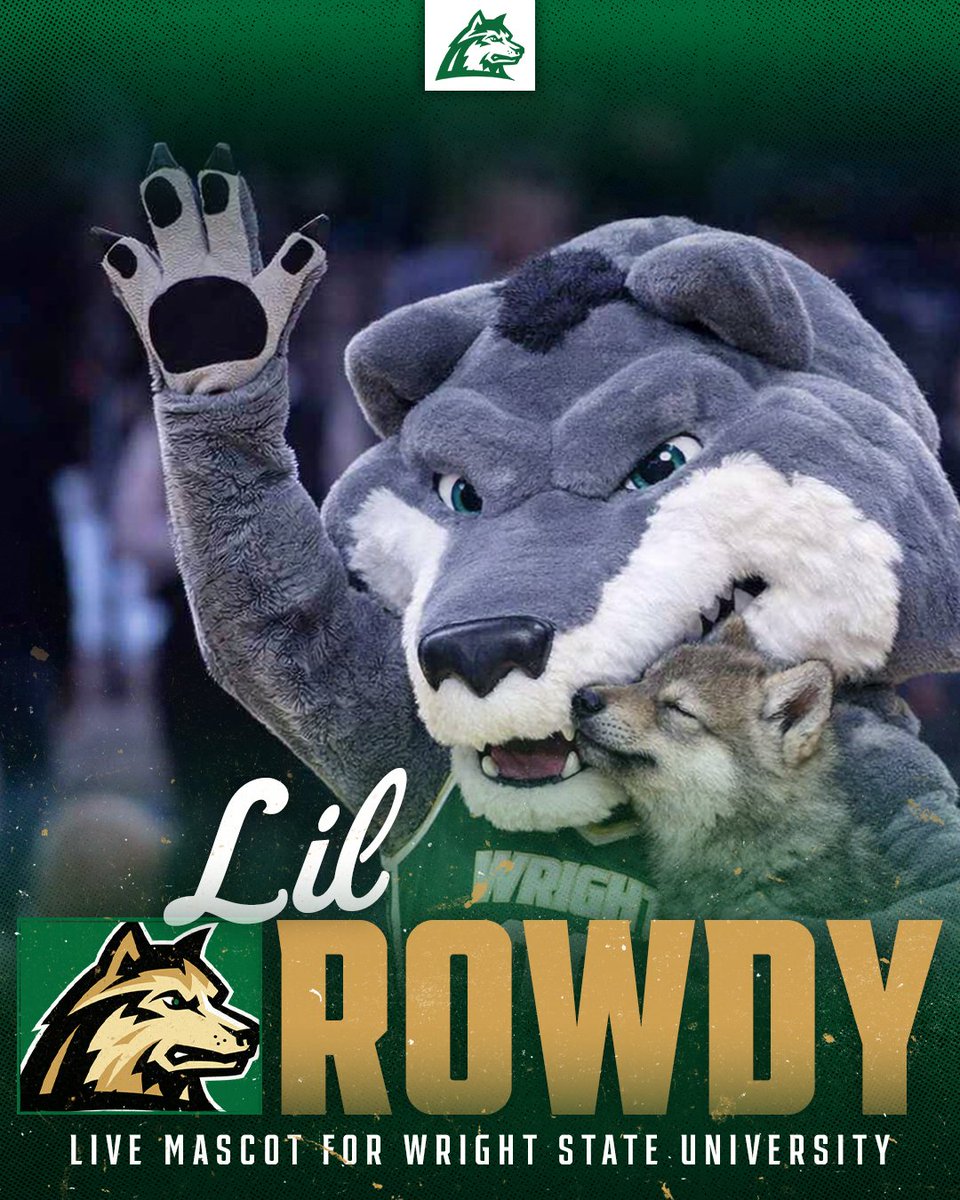 Wright State Raiders tweet media