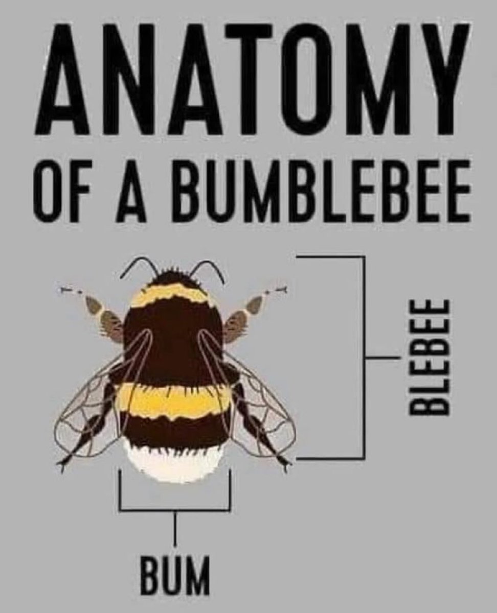 'The Ronster' tweet media