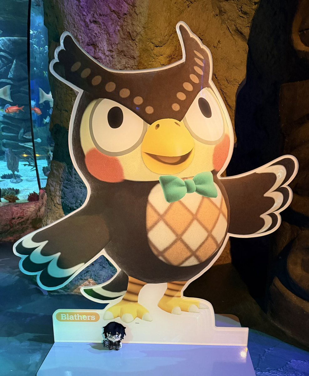 Zander🌻 tweet media