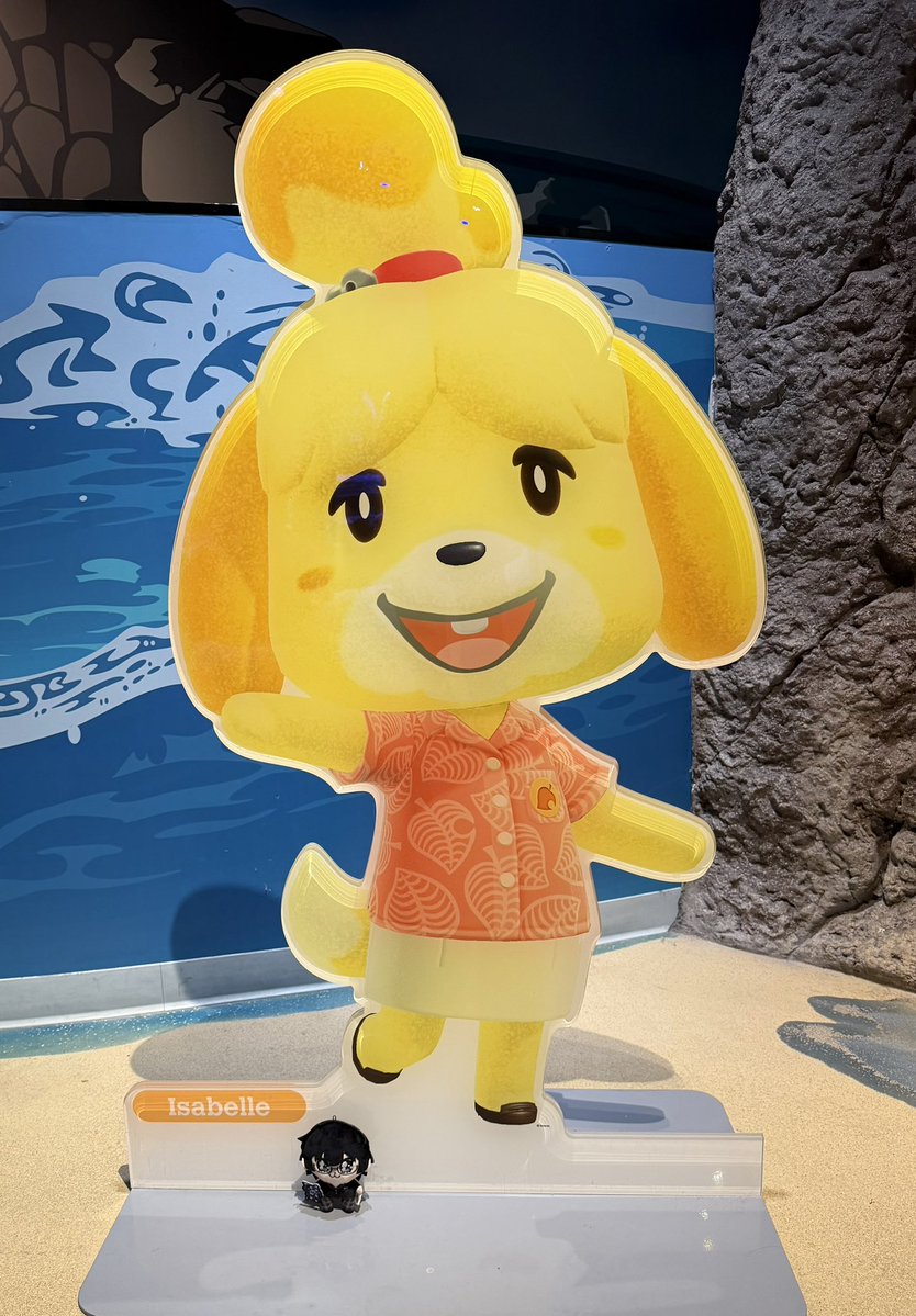 Zander🌻 tweet media