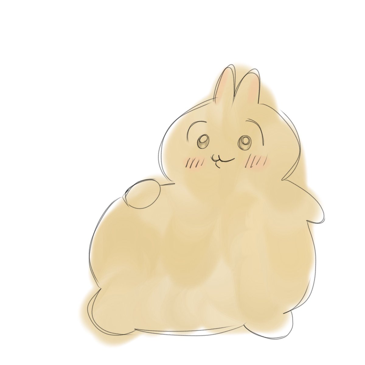 Sanfo 🔞 tweet media