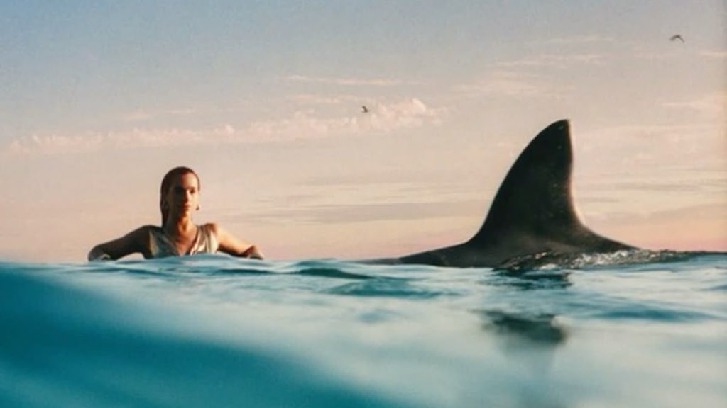 niamh⁷ ౨ৎ tweet media