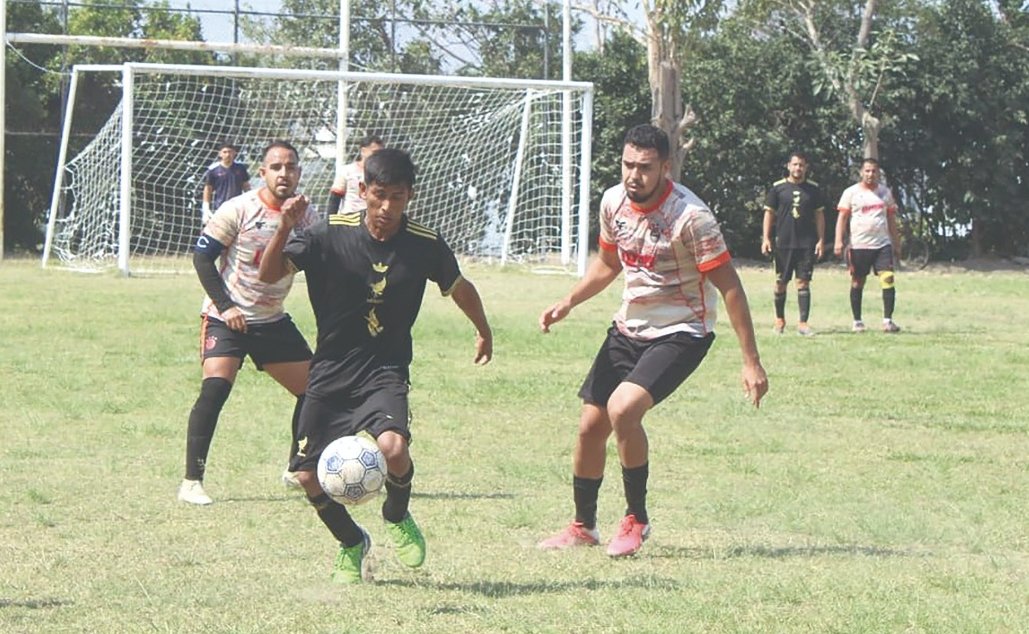 Diario de Colima tweet media