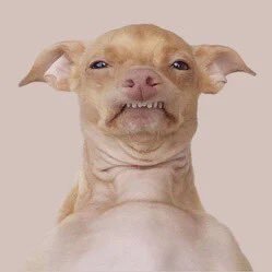 Phtevencoin tweet media