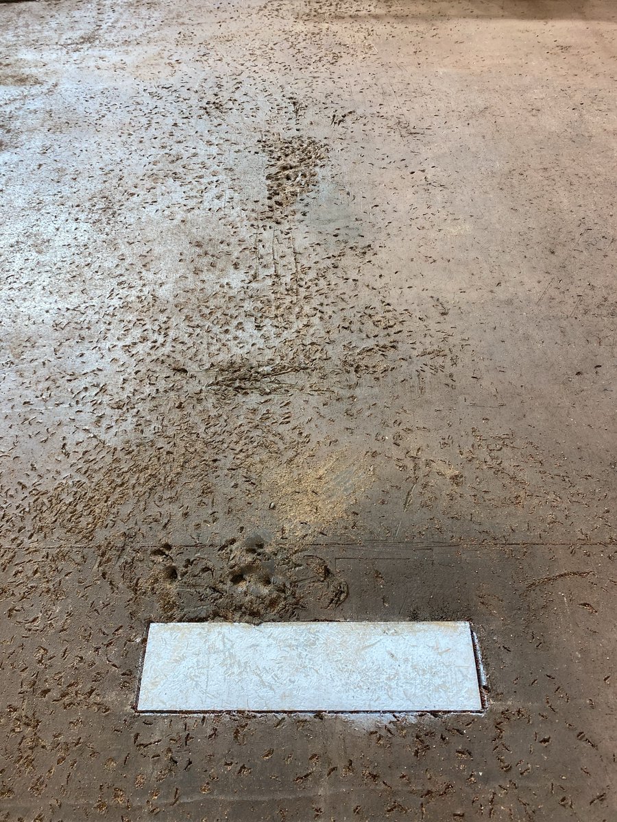 EvanBakota's tweet photo. Sandy Complete Game?
Sandy Complete Game. https://t.co/3kFXgQcDYQ