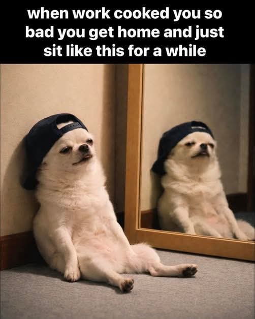 🎧CJ tha DJ 🎧 tweet media