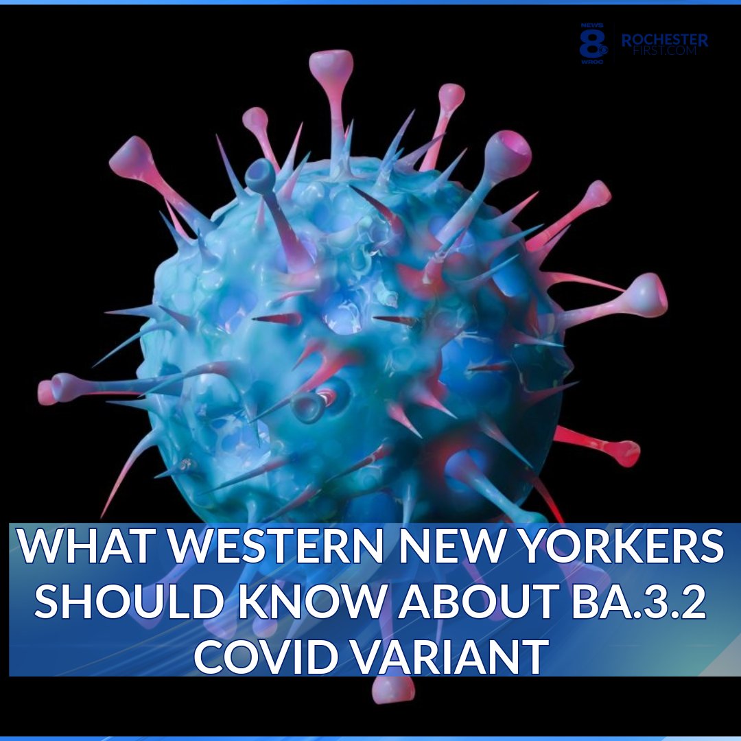 News 8 WROC tweet media