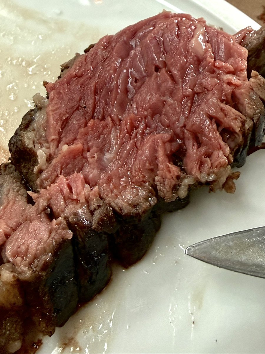 dante liporace tweet media