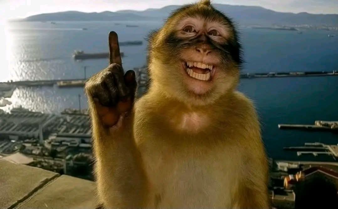 Latino sino-árabe tweet media