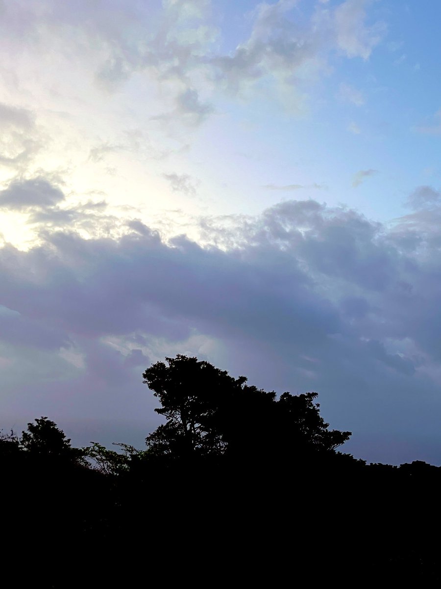 🌸同感🌸 tweet media